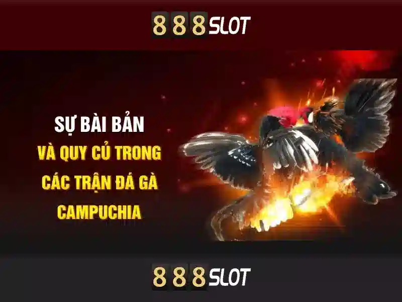 tin tức 888SLOT - 888SLOT tin tức 888SLOT - 888SLOT