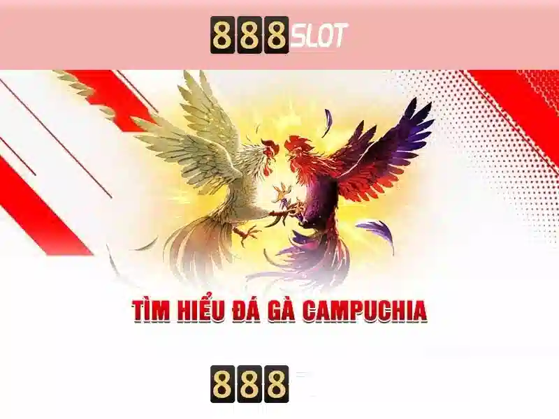 mẹo chơi - 888SLOT mẹo chơi - 888SLOT