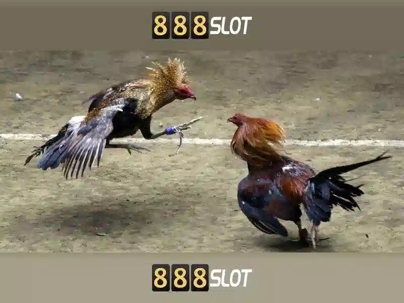 ứng dụng di động - 888SLOT ứng dụng di động - 888SLOT