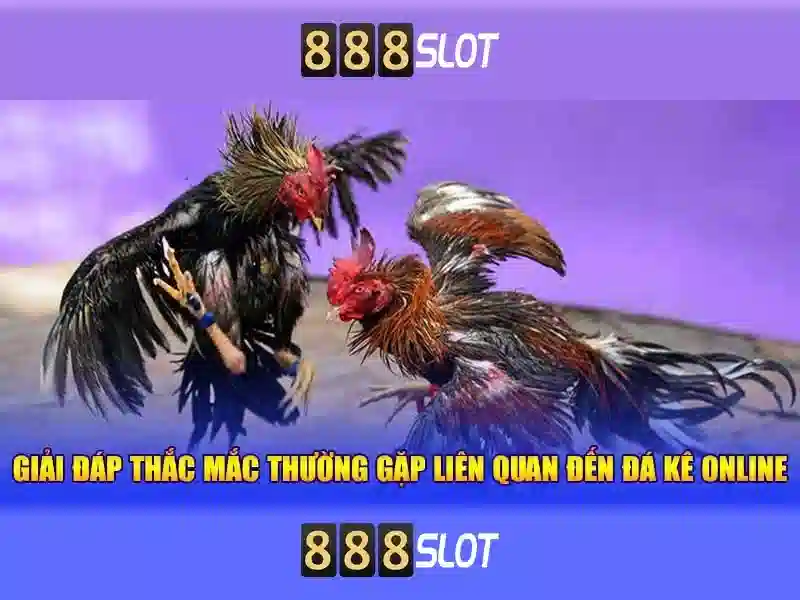 giải trí trực tuyến - 888SLOT giải trí trực tuyến - 888SLOT