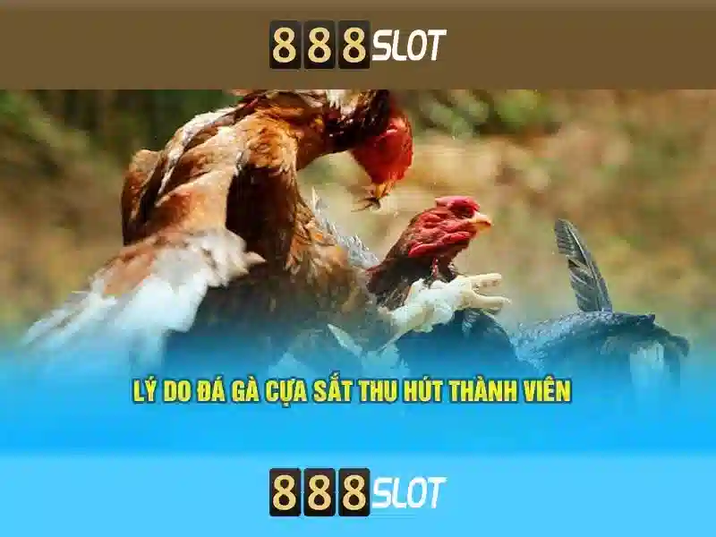 chuyển khoản - 888SLOT chuyển khoản - 888SLOT