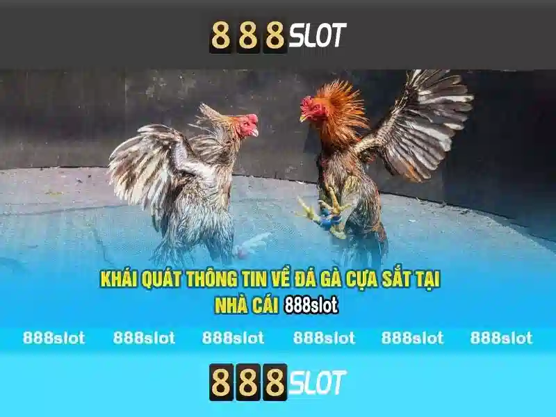 💎nhà cái 11bet💎 💎nhà cái 11bet💎