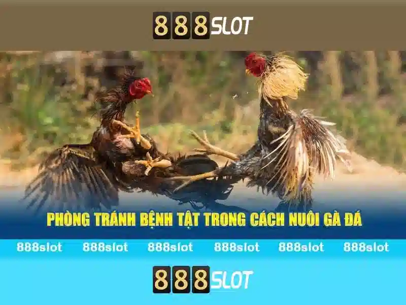 💎888slot apk login💎 💎888slot apk login💎