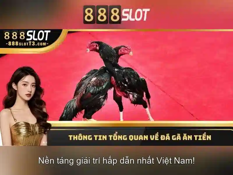 💎keo nha cai tran duc💎 💎keo nha cai tran duc💎