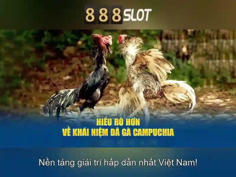 💎nhà cai uy tin vote💎 💎nhà cai uy tin vote💎